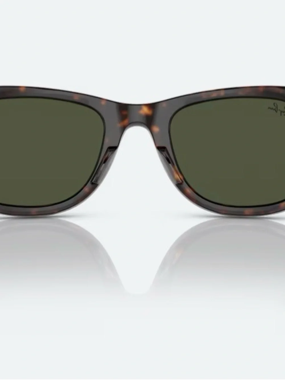 Ray-Ban iconic wayfarer